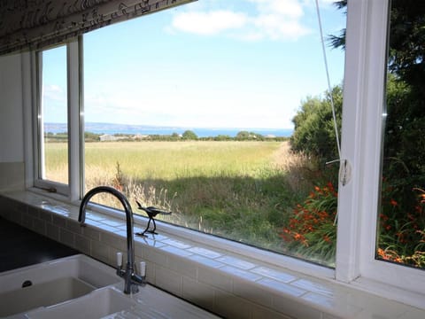 View from the kitchen sink!