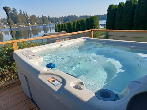 The spa, it has a floating chlorine dispenser as well as an ozone cleaner