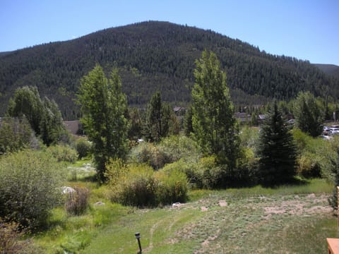 Meadow view from 1334 Tennis Deck
