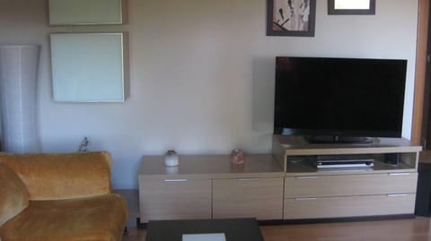 TV, fireplace, DVD player, stereo