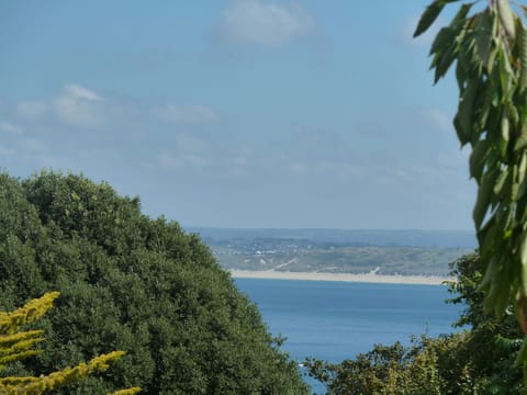 View from front window of double bedroom