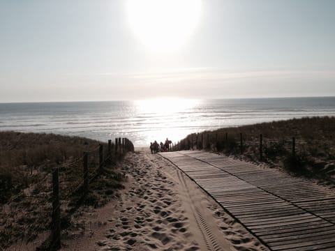 On the beach