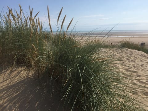 Sand dunes at Camber, three minutes walk