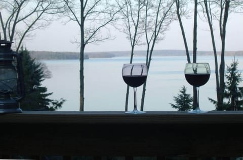 Spectacular year round views from two tier deck...direct access to the LAKE!