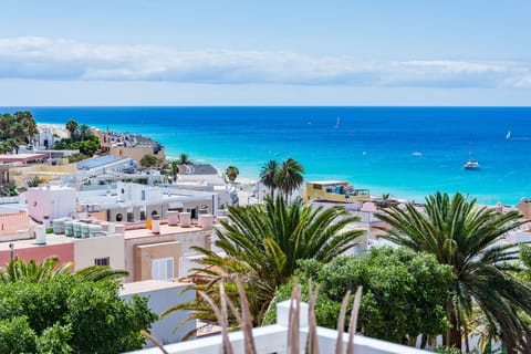 Beach/ocean view