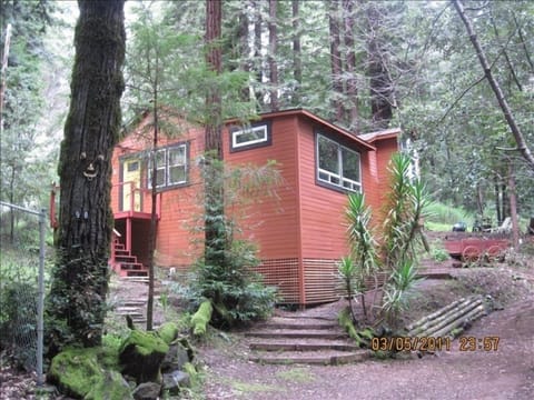 Our cabin getaway is surrounded by forest, romantic,  fresh and only For Play.