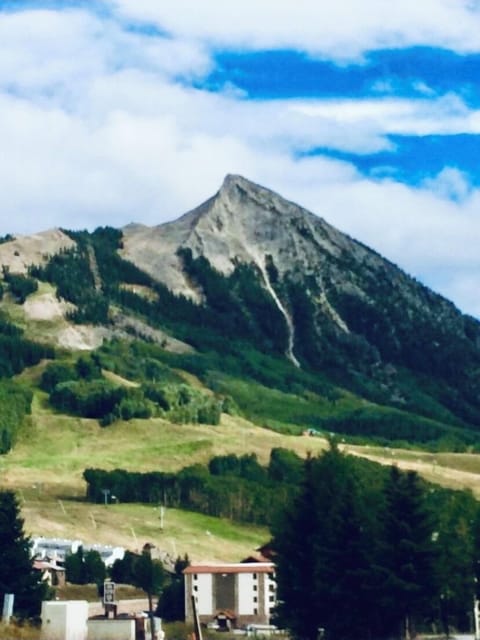 Mountain View from condo patio