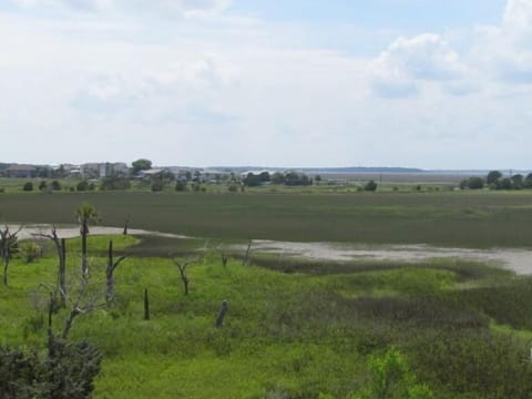 Marsh View from porch 
