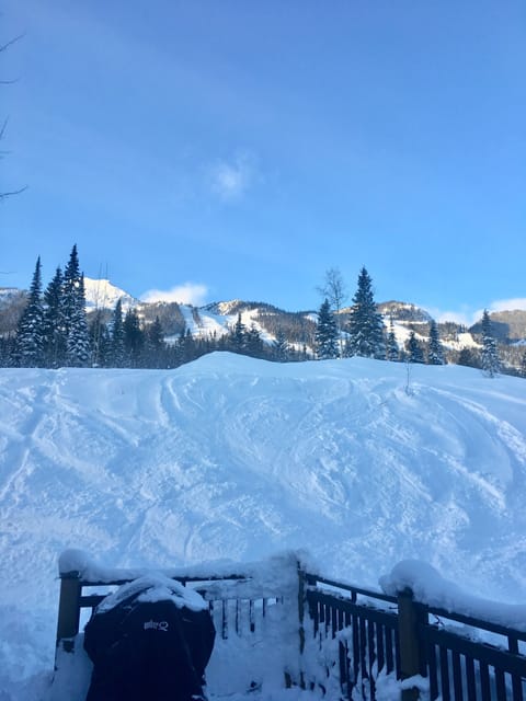 Snow and ski sports