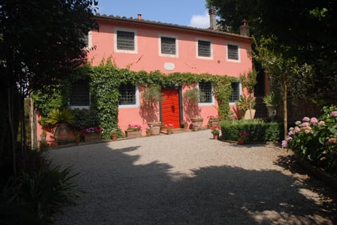 Roocello under the Tuscan sun!