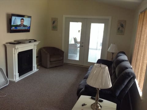 TV, fireplace, video games, DVD player