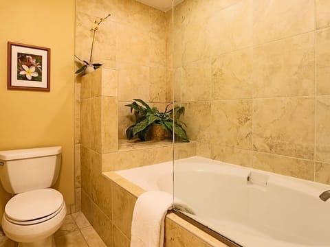 Combined shower/tub, hair dryer, towels