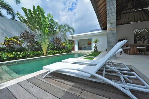 Outdoor pool, sun loungers