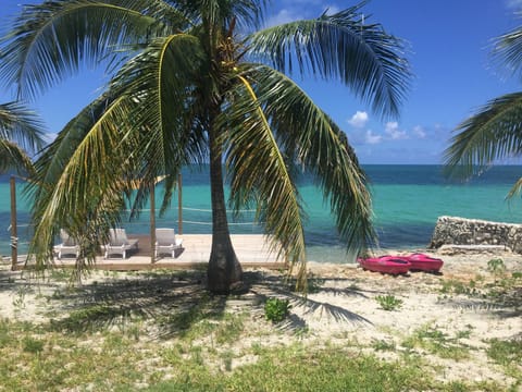 Sun loungers, beach towels