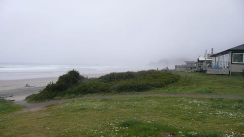 On the beach