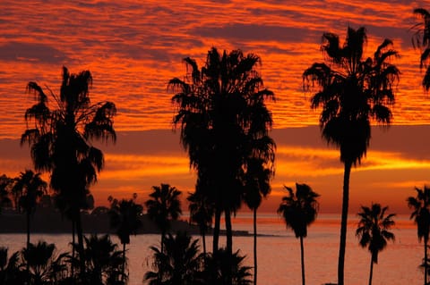Sunset with La Jolla Cove in the background.
