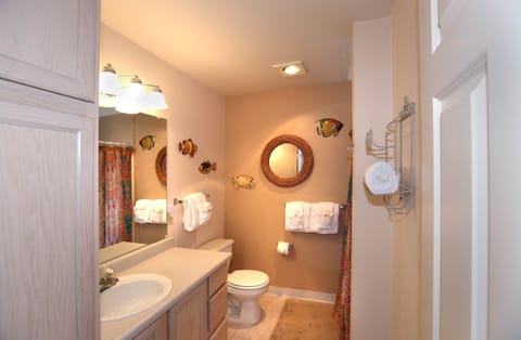 Combined shower/tub, hair dryer, towels, toilet paper