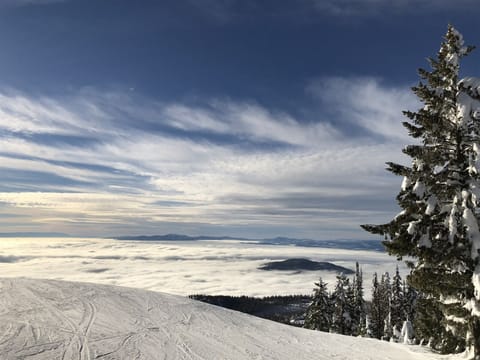 A beautiful Montana skies