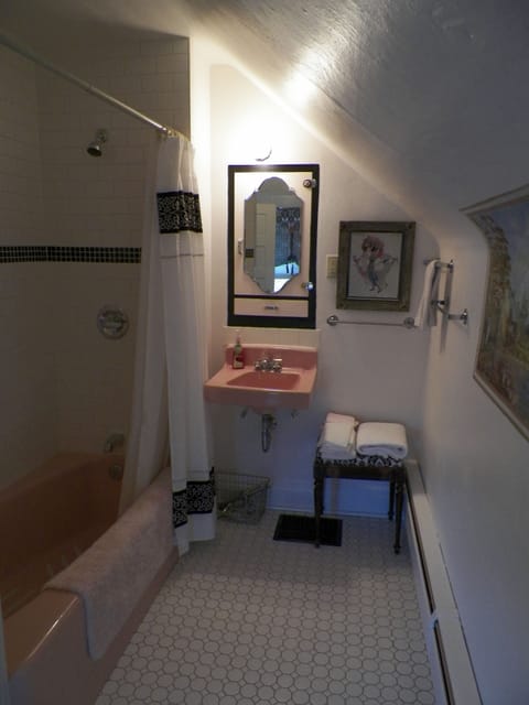 Combined shower/tub, hair dryer, towels, soap