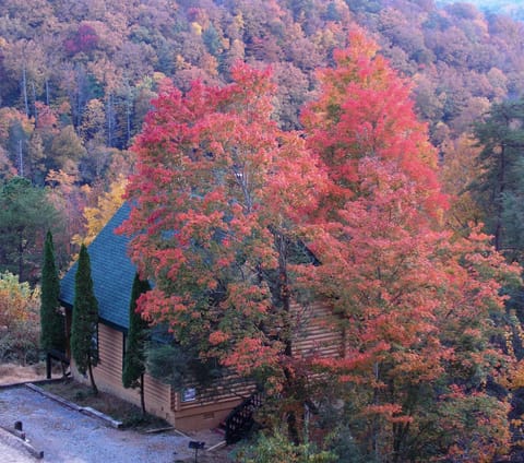 Spectacular Vista Cabin In October