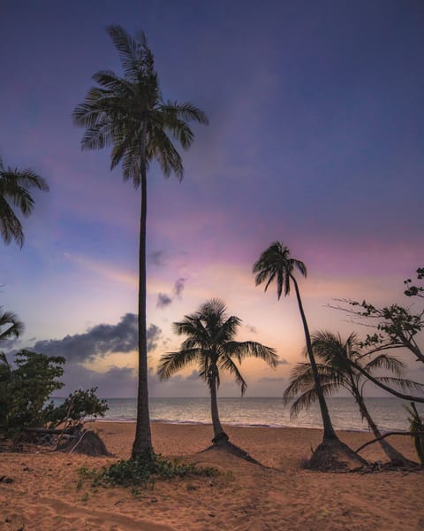 Beach nearby, sun loungers, beach towels