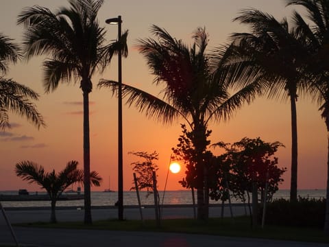 Fabulous Key West sunsets at Truman Waterfront Park