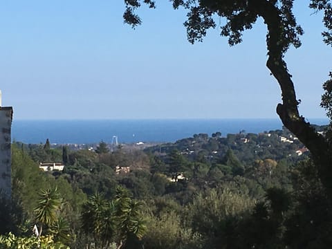 one of the views from the upper terrace 