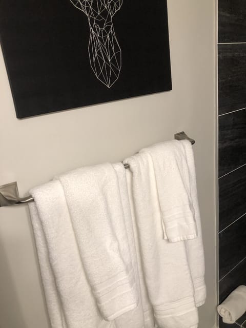 Combined shower/tub, jetted tub, hair dryer, towels