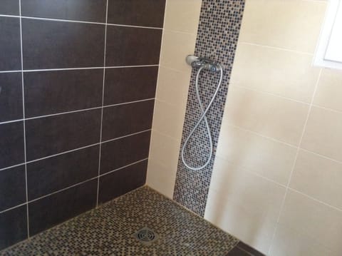 Combined shower/tub