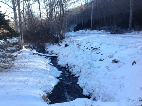 Small creek in front yard