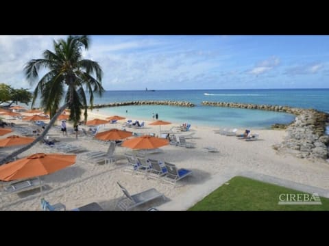 Sun loungers, beach towels