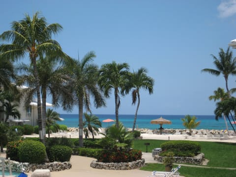 Sun loungers, beach towels