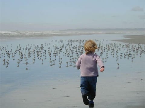 Chasing sandpipers on our beach.
