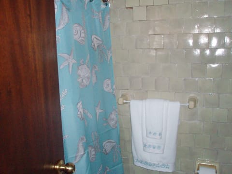 Combined shower/tub, hair dryer, towels, shampoo