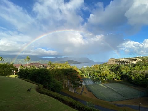 Rainbow view from the lanai