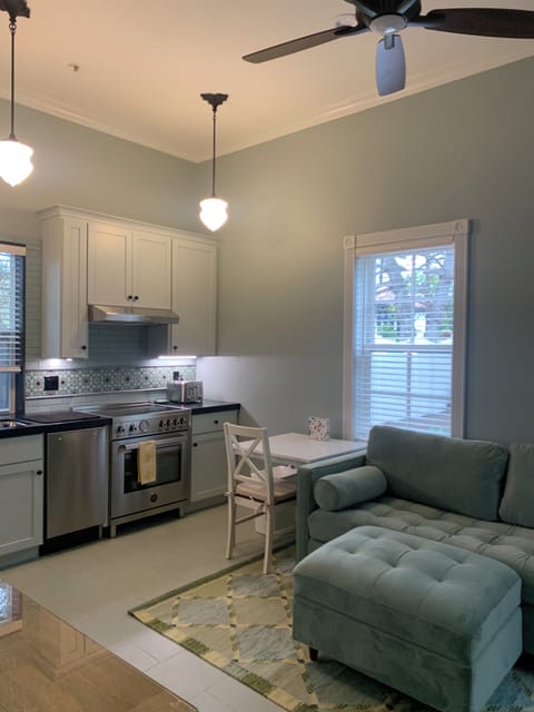 Kitchen and living area with sofa sleeper and small table