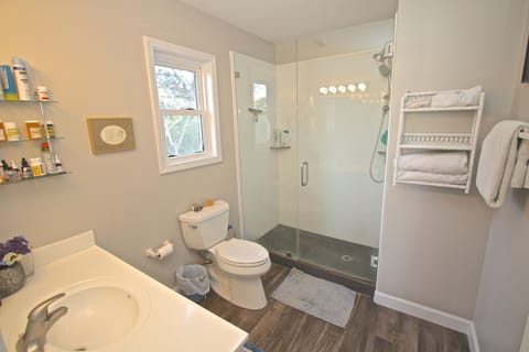 Combined shower/tub, hair dryer, towels