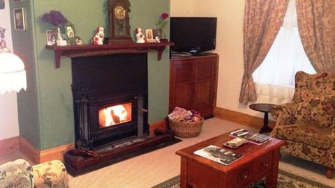 TV, fireplace, DVD player, books