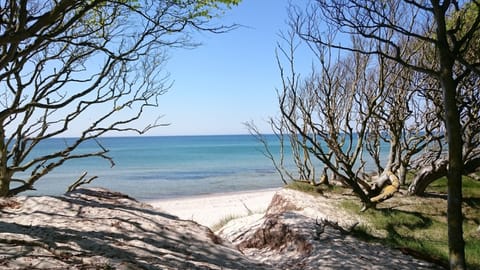 Beach nearby, sun loungers