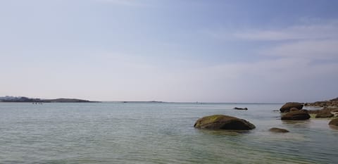 Beach nearby, sun loungers