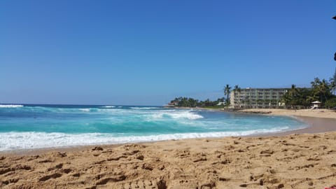 On the beach, sun loungers, beach towels