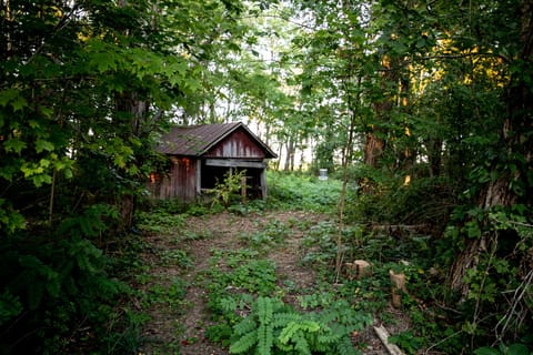 Original shed in the orchard.  Hope to make this bigger someday!