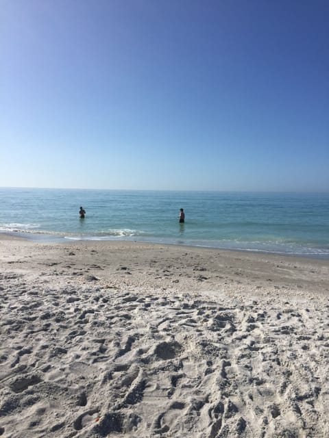 On the beach, sun loungers, beach towels