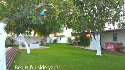 Side yard - walled and gated property. Great for Furry Friends!!

