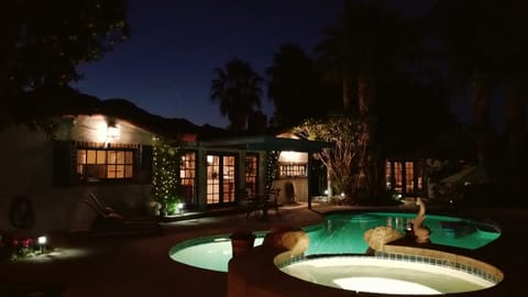 A tranquil starlit night overlooking the pool and the silhouetted soaring palms.