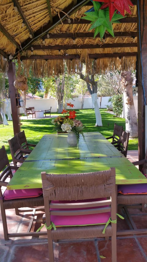 Palapa - and the outdoor dining area (gas firepit in the distance)