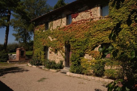 South side of House (Pebbled Courtyard)