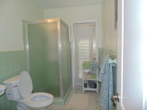 Combined shower/tub, hair dryer, towels