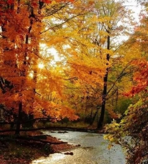 Fall at the river in Riverbend