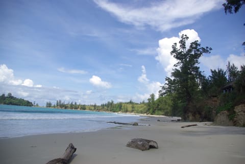 On the beach